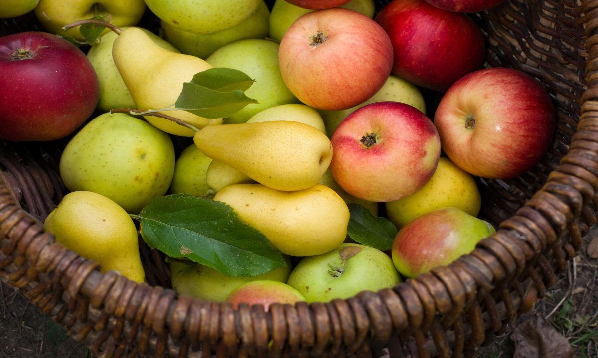 Desarrollo de Software para Decofrut